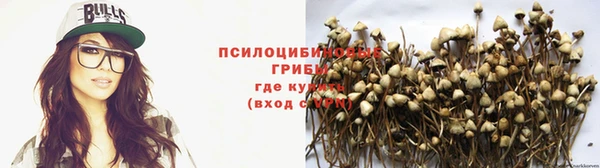 кокс Аркадак