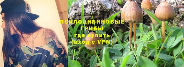 кокс Аркадак